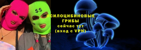 ГАЛЛЮЦИНОГЕННЫЕ ГРИБЫ Абдулино