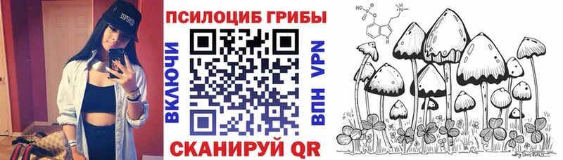 Галлюциногенные грибы Psilocybe  Урус-Мартан 